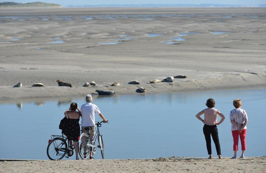 Hamac - Vue Mer - 100M Plage Berck المظهر الخارجي الصورة